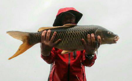 ２匹目のドジョウ狙いに