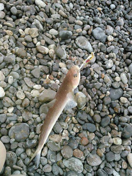 エソ1グランプリ