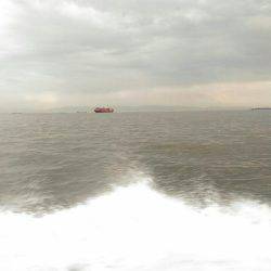 初めての船釣り【釣人屋・ロックフィッシュショート便】