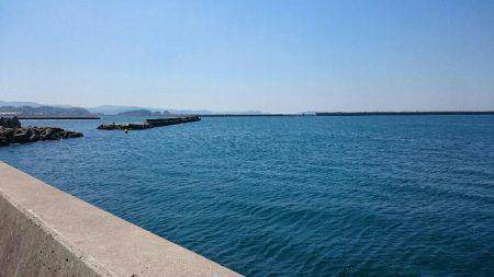 アオリはまだ？