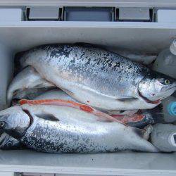 鳥取遠征２日目