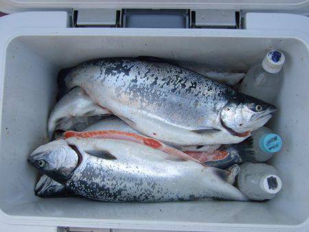 鳥取遠征２日目