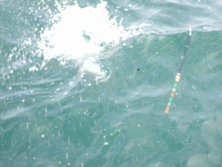 今だけの釣り。