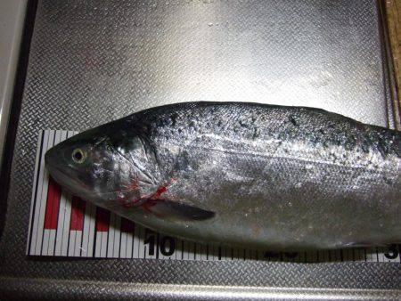 まだ、釣れるかな？