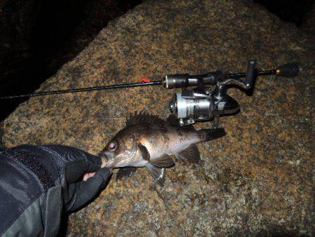 やっと２０Ｕｐ