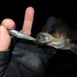 可能性は感じます