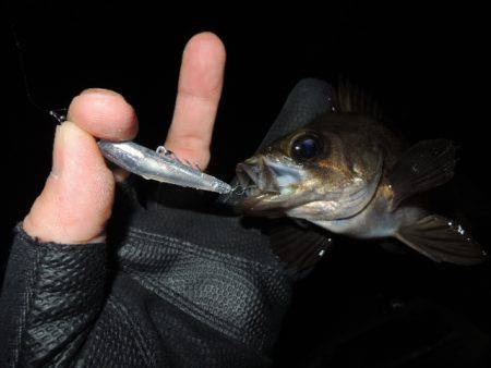 可能性は感じます