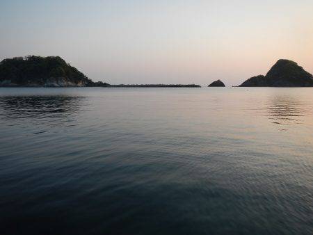 コウイカエギング