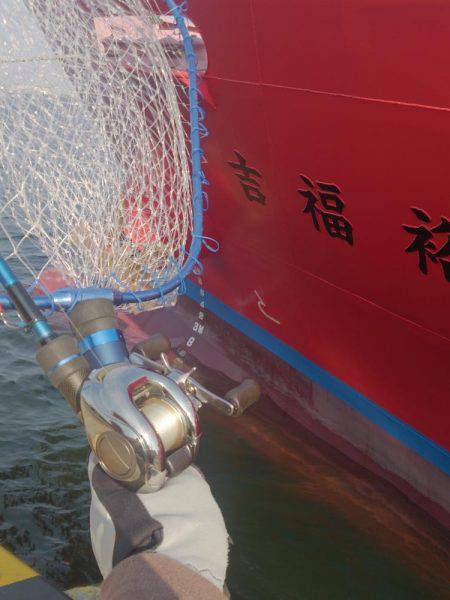 停泊船ゲ―ム開幕