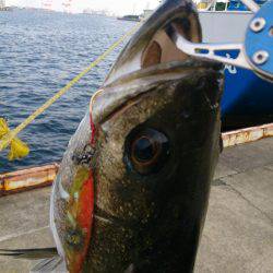 続 停泊船ゲ―ム