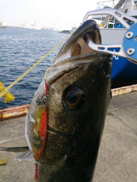 続 停泊船ゲ―ム