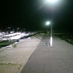 少しましになったけどまだ渋い!