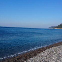 良いとこでしたが、