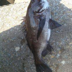 今年初の二桁！！