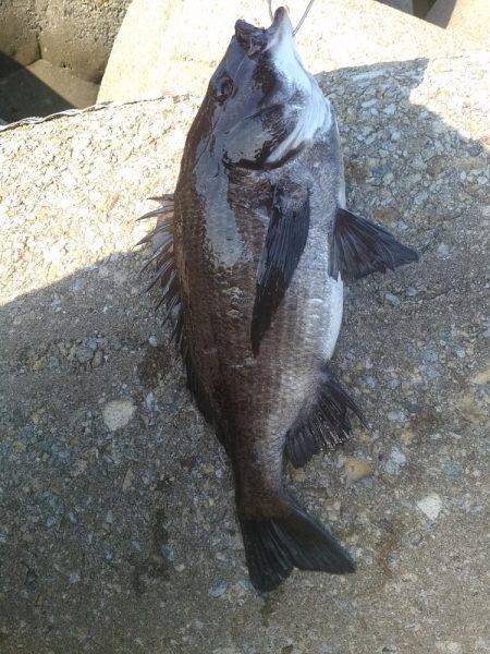 今年初の二桁！！