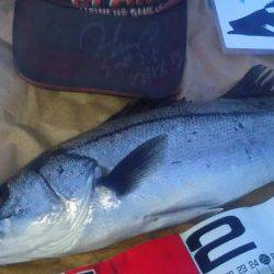 兵庫県円山川河口！！朝マズメ！