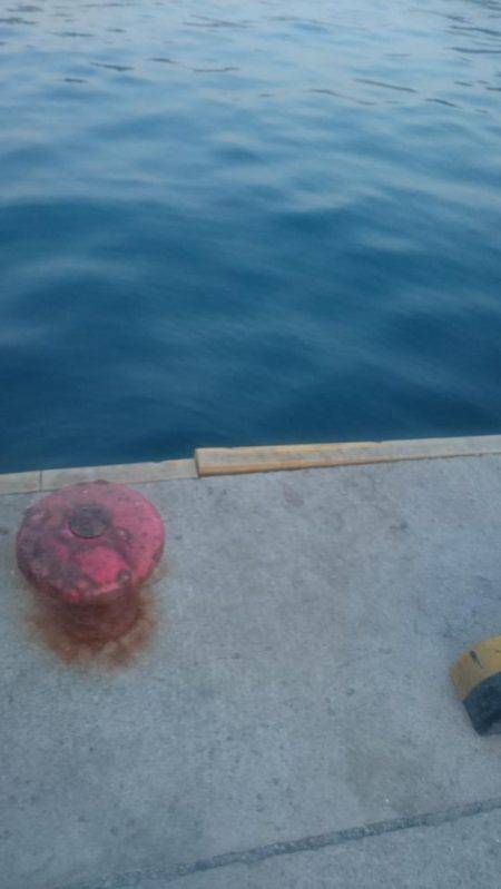 シェアジギング