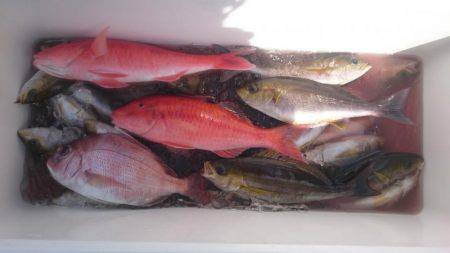 和歌山でイサキ狙い！