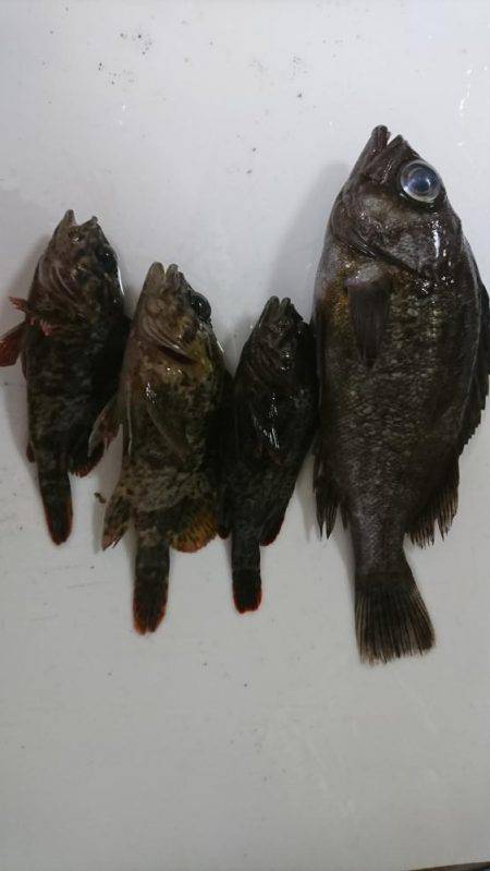 根魚の探り釣り