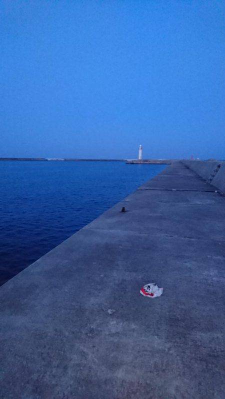 今年初タチウオ