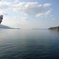 敦賀の春イカ(甲)