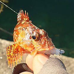 付き合いの良い奴