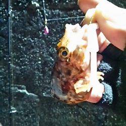 ただ巻きよりリアクション