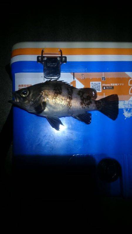 サーフオモロイ。