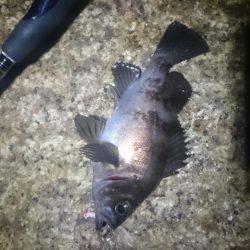 トラブルシューティング