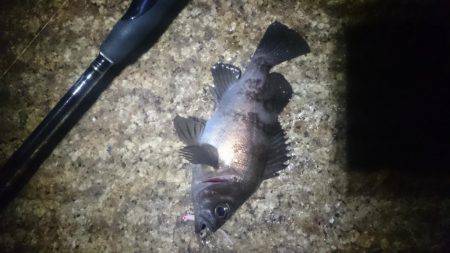 トラブルシューティング