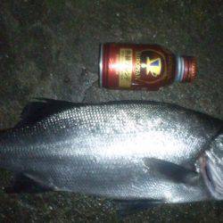 ナイトフィッシング