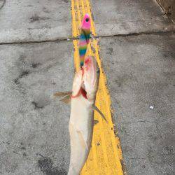 エソゲーム炸裂‼︎