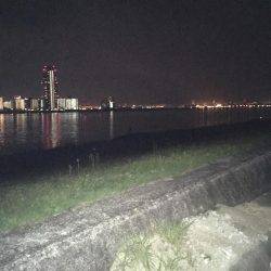 仕事帰りの癒し