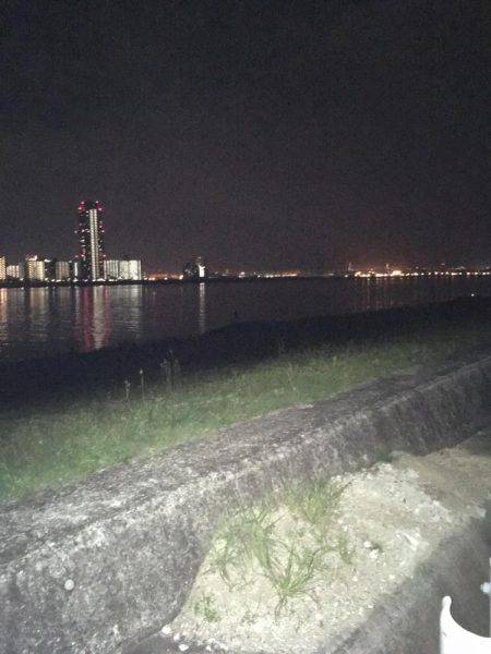 仕事帰りの癒し