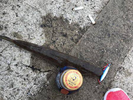 エソ神降臨( ´∀｀)