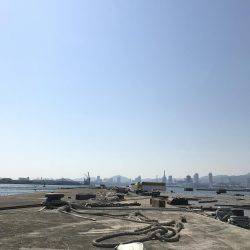 フカセチヌでボラのみ。。。