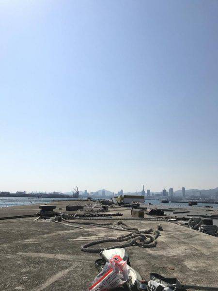 フカセチヌでボラのみ。。。