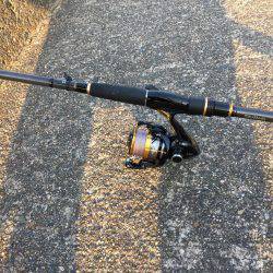 キス 釣れました〜