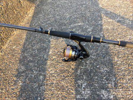 キス 釣れました〜