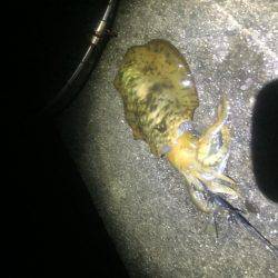 雨、風の中頑張りました。