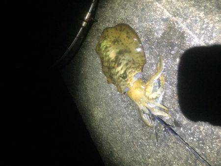 雨、風の中頑張りました。