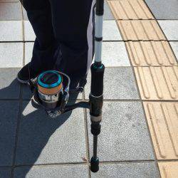 恐るべしビギナーズラック