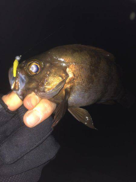 楽しくメバリング