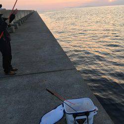 ノッコミ開始！