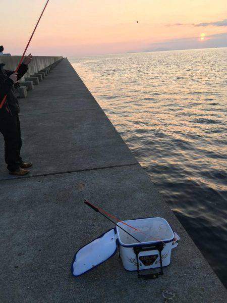 ノッコミ開始！