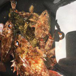 淡路島2日目穴釣り