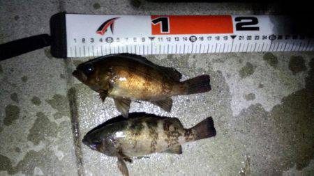 なんとかﾒﾊﾞﾘﾝｸﾞ成立