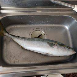 ショアプラッキング