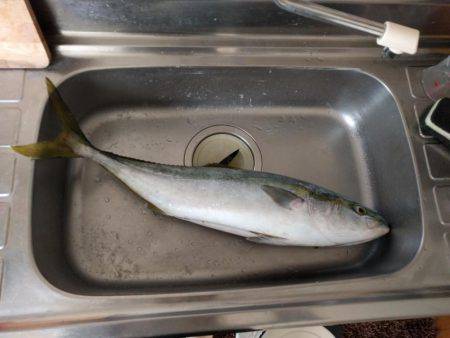 ショアプラッキング