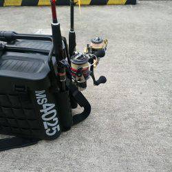 本命釣りたい②